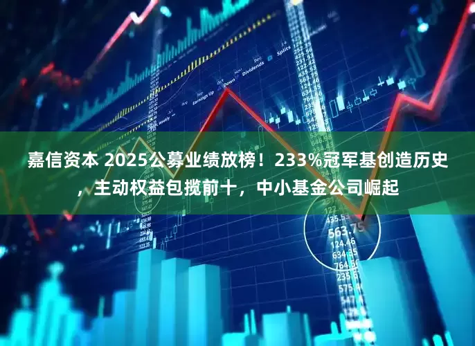 嘉信资本 2025公募业绩放榜！233%冠军基创造历史，主动权益包揽前十，中小基金公司崛起