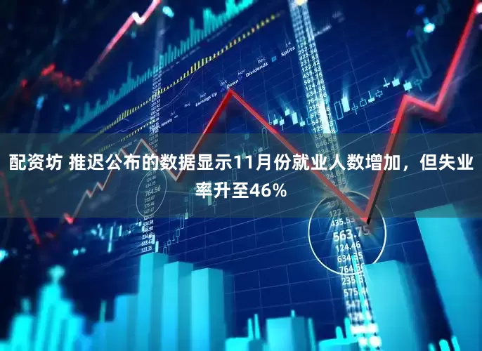 配资坊 推迟公布的数据显示11月份就业人数增加，但失业率升至46%